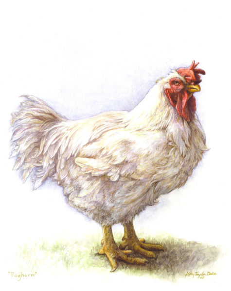 ktdukeartist-rooster portrait-watercolor and colored pencil-foghorn