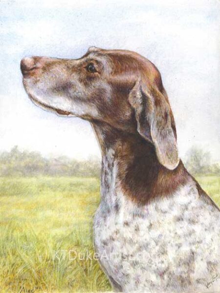 ktdukeartist-dog portrait-watercolor and colored pencil-alec