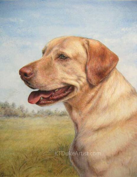 ktdukeartist-dog portrait-watercolor and colored pencil-sam in field