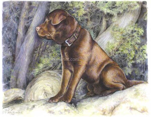 ktdukeartist-dog portrait-watercolor and colored pencil- ike