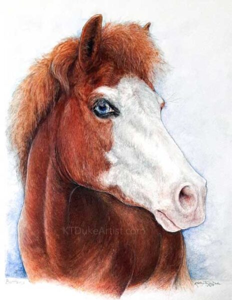KTDukeArtist-horse portrait-watercolor and colored pencil-paint pony