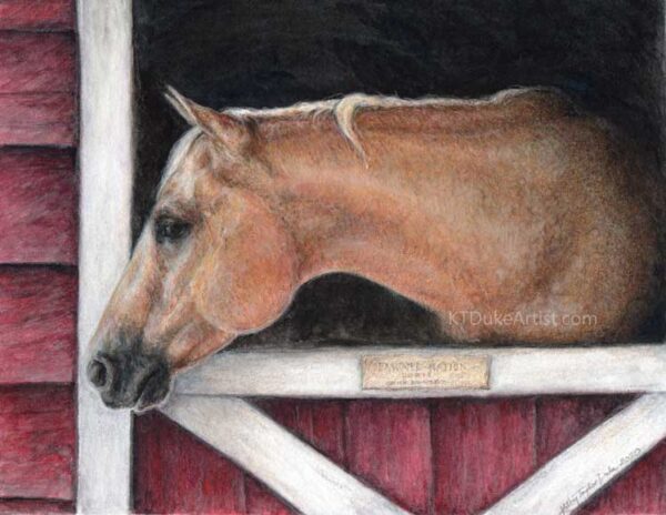 KTDukeArtist- horse portrait-watercolor and colored pencil- palomino-Pawnee Nation-paint horse