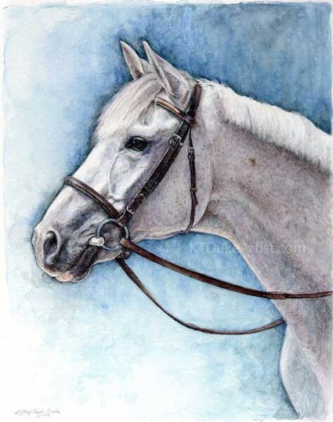 KTDukeArtist-horse portrait-watercolor and colored pencil-SS Armani-eventer