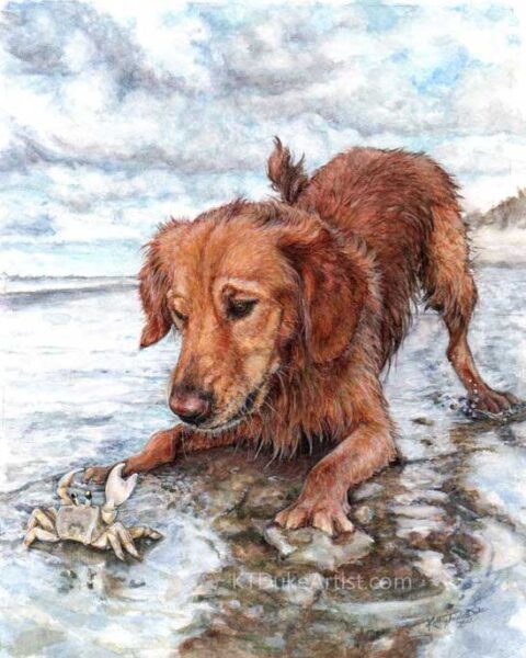 KTDukeArtist - dog portrait-golden retriever- watercolor and colored pencil-seascape