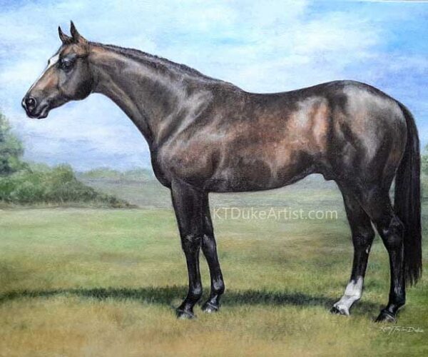 KTDukeArtist- horse portrait-Quarter Horse- AQHA Stallion-Thedreams Cometrue-oil portrait