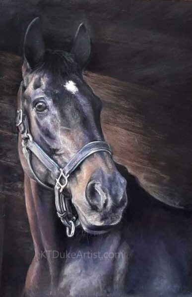 Ktdartist-pastel portrait-horse portrait-portrait of Osborne-pastel drawing-pastel on Pastelmat