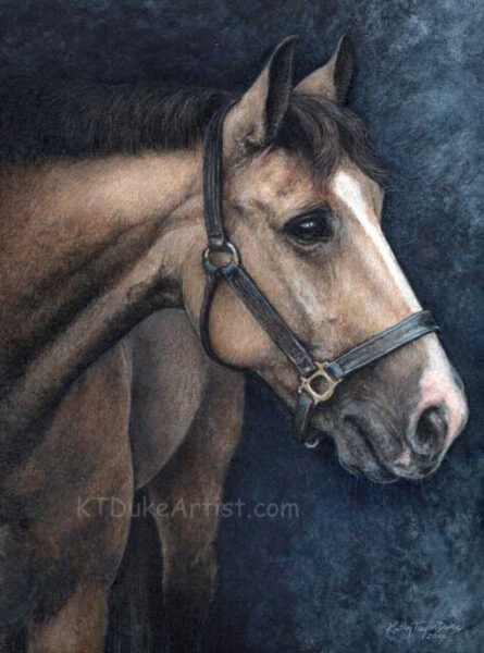 ktdukeartist-horse portrait-portrait of Buckley-watercolor and colored pencil