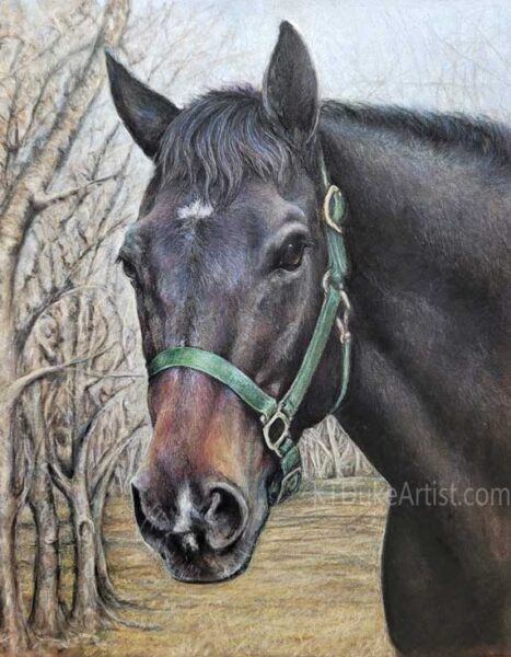 Ktdukeartist-pastel-drawing-horse portrait-portrait of Duke-pastel on Pastelmat