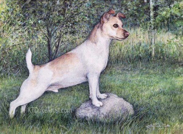 ktdukeartist-watercolor and colored pencil-dog portrait of Piglet-terrier