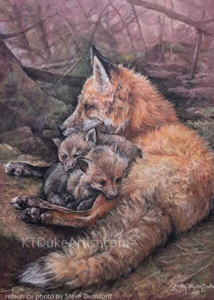Ktdukeartist-Pastel-drawing-fox-fox kits-reference photo-photographer Steve Dunsford.