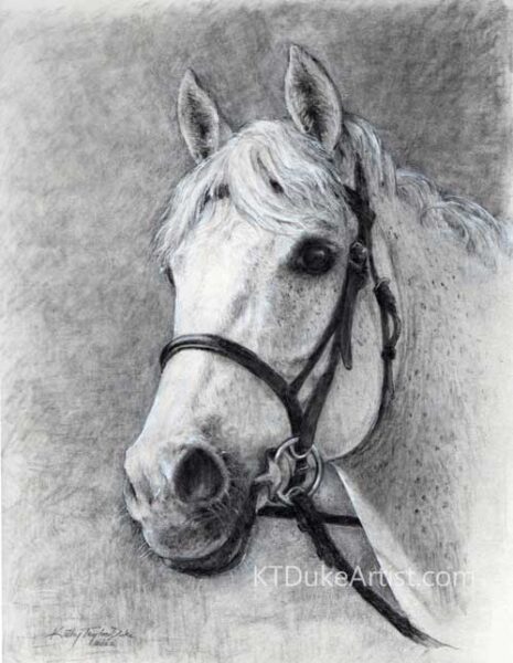 KTDukeArtist-Portrait of Rocky Bear-graphite pencil portrait-Thoroughbred race horse-Rocky Bear