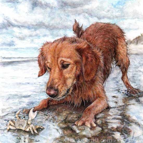KTDukeArtist - dog portrait-golden retriever- watercolor and colored pencil-seascape